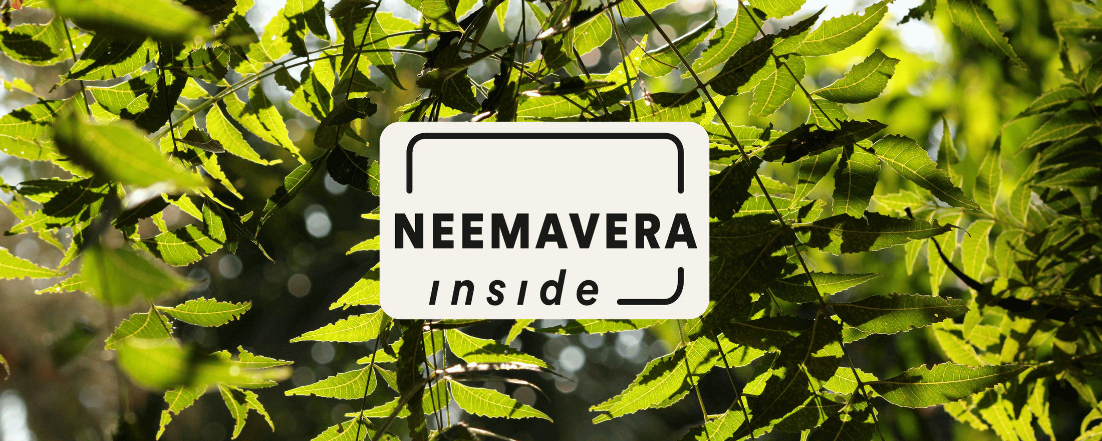 Man sieht die Neem Blätter und wie sie von hinten von der Sonne bestrahlt werden. ZUdem ist in der Mitte es Bildes ein schwarzes Icon auf hellem Hintergrund, das "Neemavera inside" sagt.