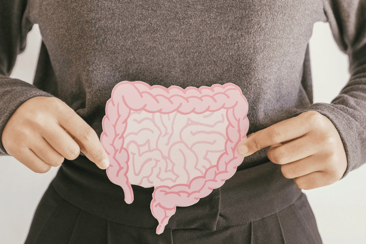 Frau hält eine Abbildung des Darms vor ihren Bauch