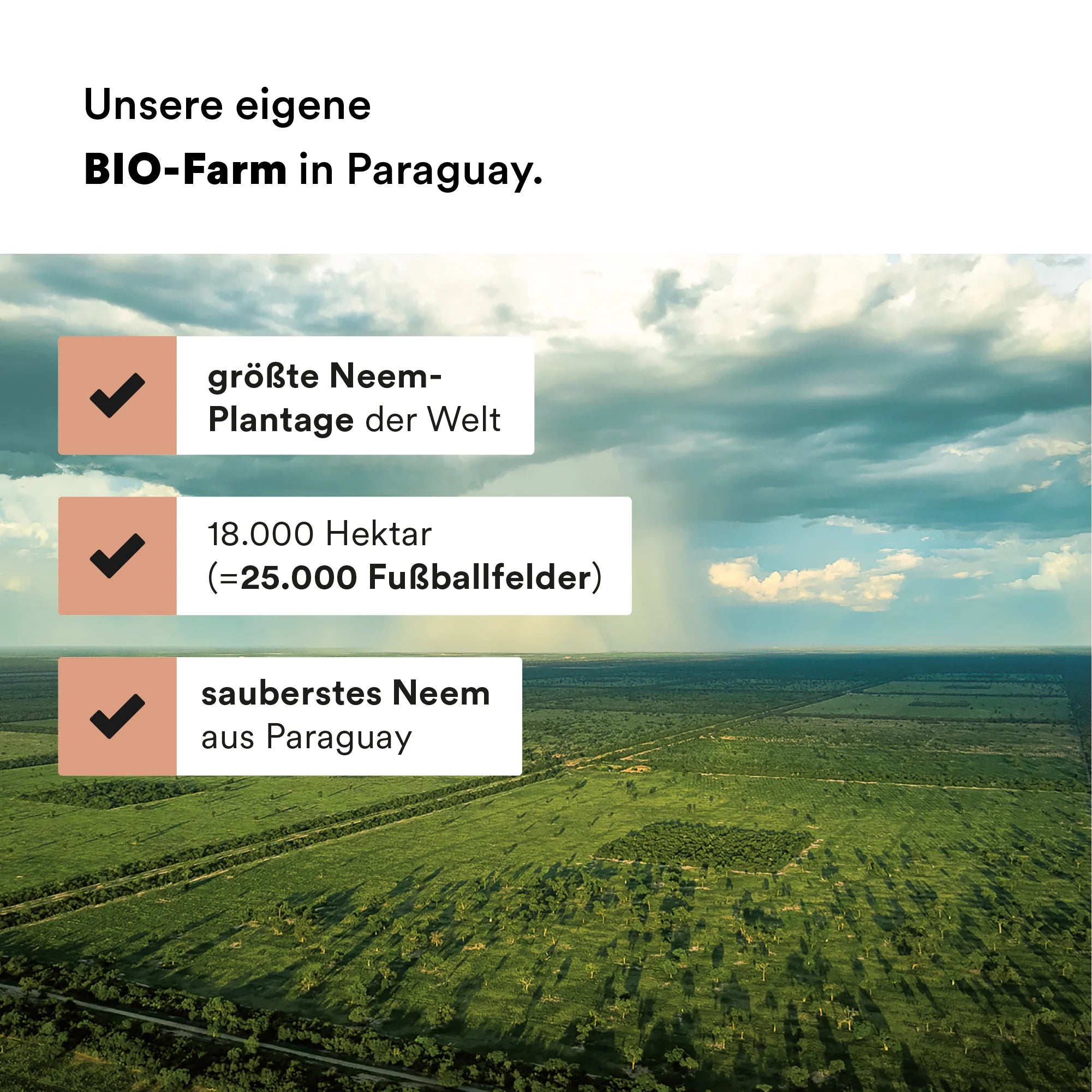 Man sieht eine Luftaufnahme von der Neembaum-Farm von oben. Die Felder sind grün und voller Bäume.