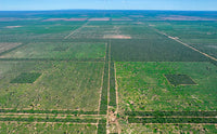 Man sieht eine Lufnaufnahme der Neem-baum Farm in Paraguay. Diese streckt sich über Eineige Hektar, der blaue Himmel ist auch zu sehen.