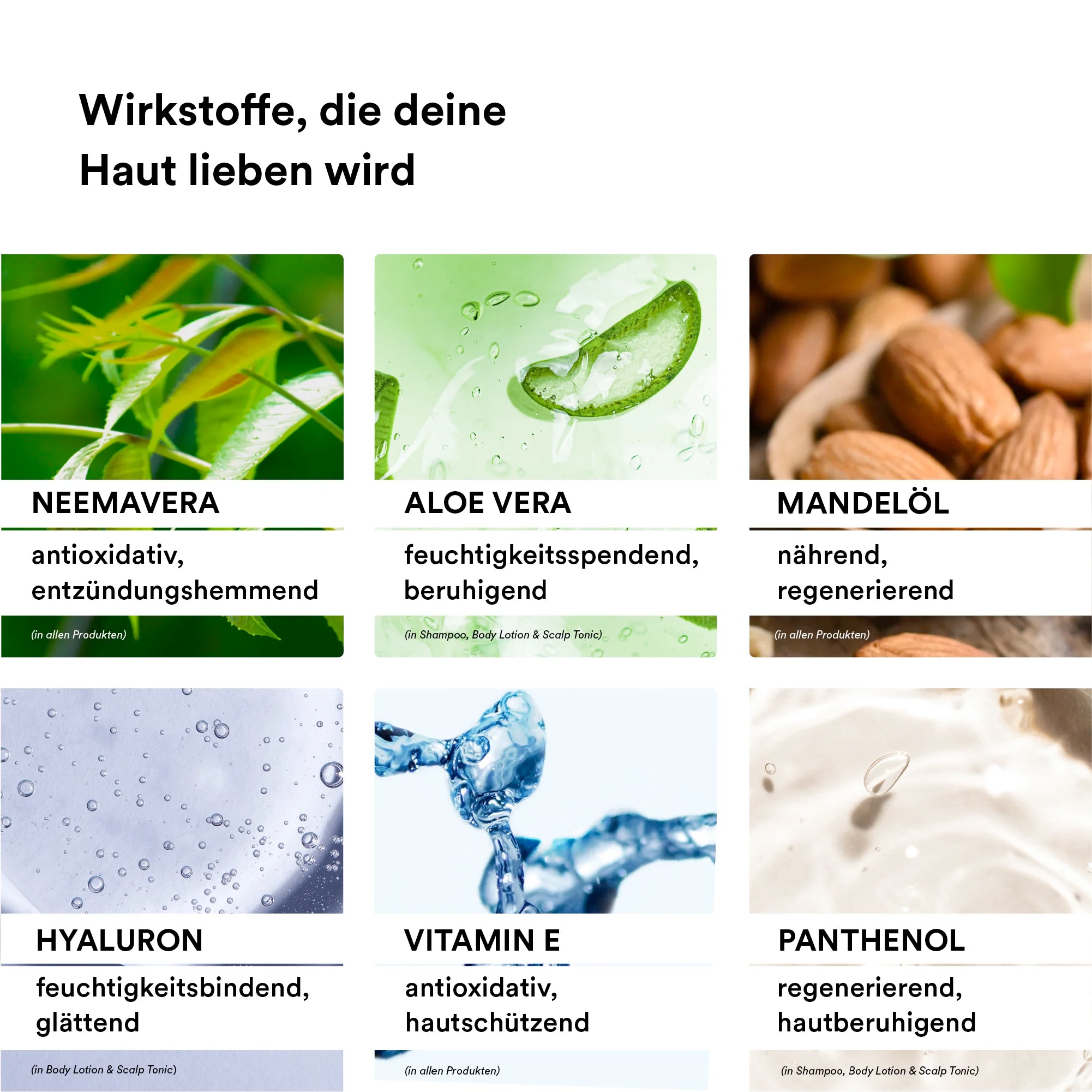 Meine Winterroutine Produkt-Inhaltsstoff-Infografiken