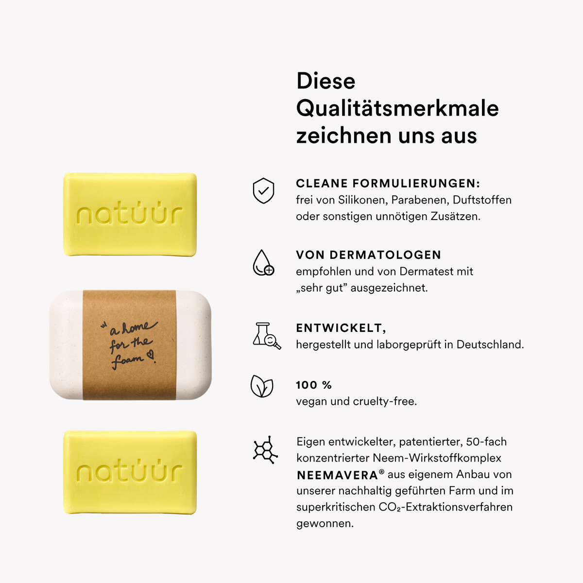Soap Buddy Kit