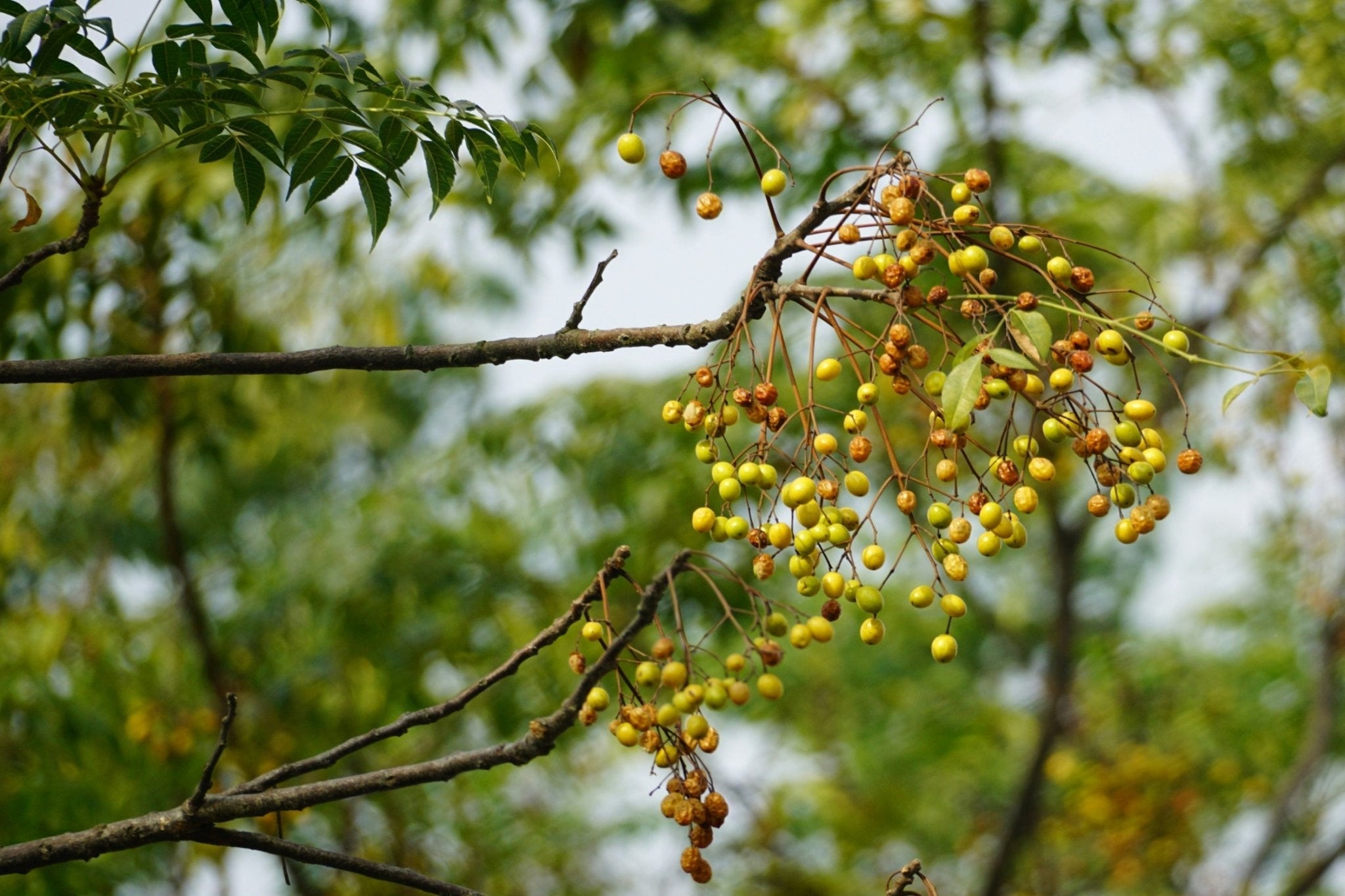 Häufige Fragen zu nachhaltiger Hautpflege beantwortet