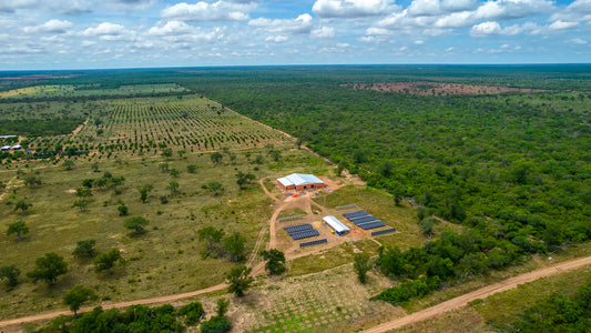 Aufnahme der Plantage in Paraguay durch eine Drone. Die neue Produktionshalle und der Solarpark sind auch zu erkennen.