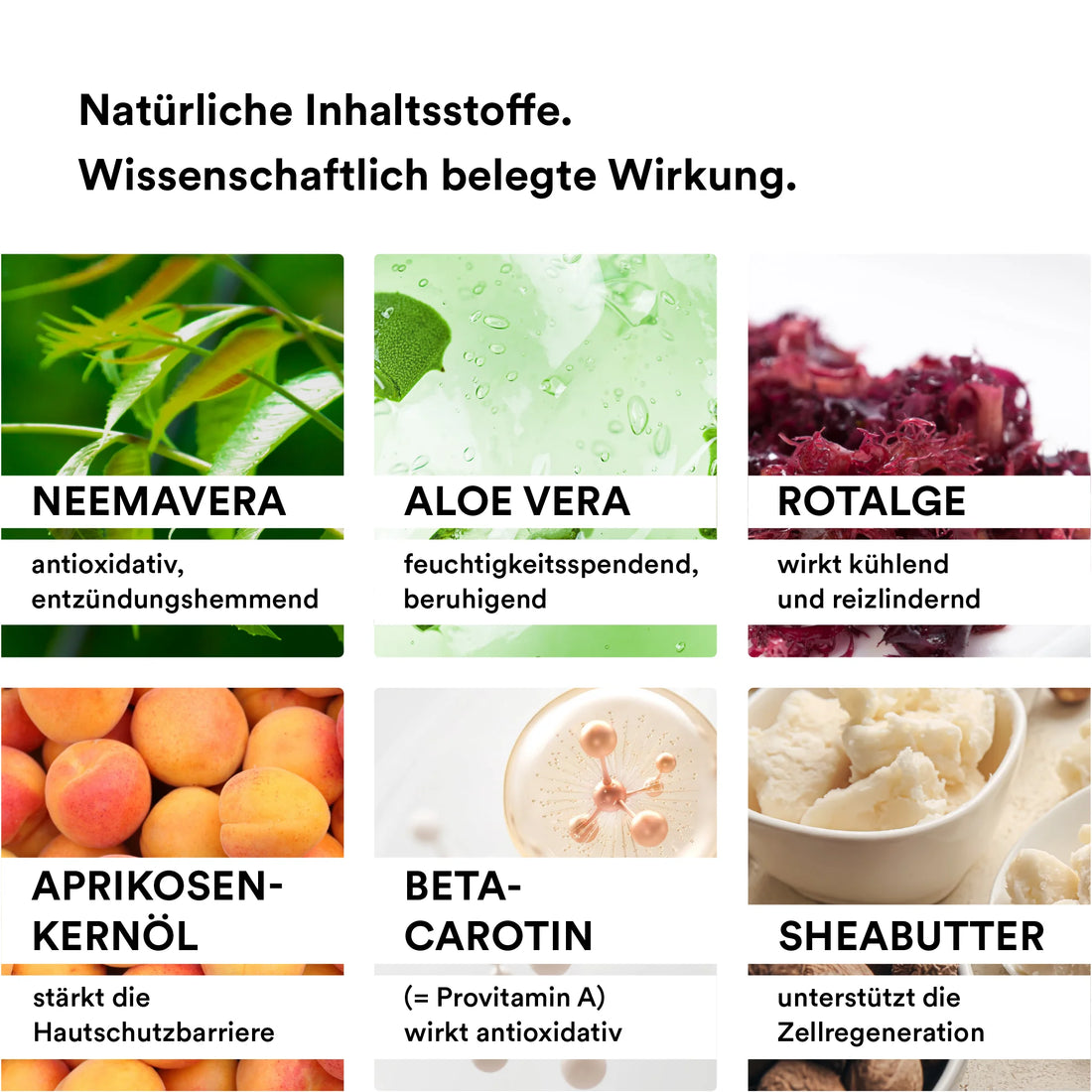 Man sieht verschiedene natürliche Inhaltsstoffe, die in dem After Sun Gel der Marke natüür enthalten sind. Unter anderem sieht man Aprikosen, Rotalge, Aloe Vera und NEEMAVERA.