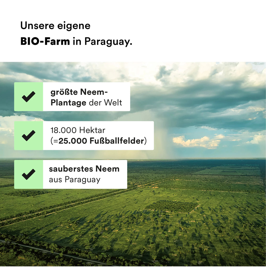 Man sieht eine Luftaufnahme von der Neembaum-Farm von oben. Die Felder sind grün und voller Bäume, es handelt sich um unsere eigene Farm, die bio-zertifiziert ist.