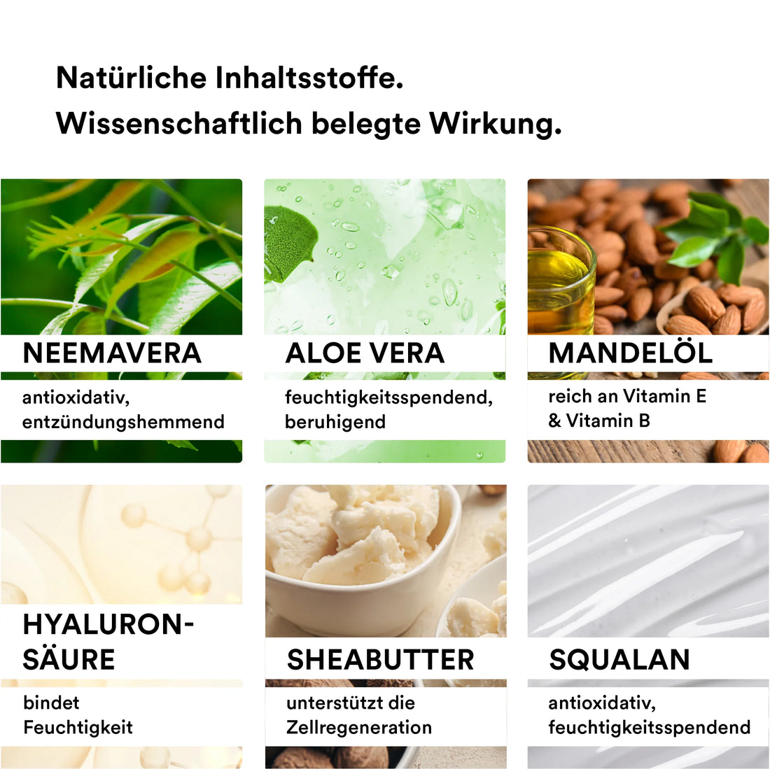 Man sieht verschiedene natürliche Inhaltsstoffe, die in der Body Lotion der Marke natüür enthalten sind. Unter anderem sieht man Hyaluronsäure, Sheabutter, Aloe Vera und NEEMAVERA.