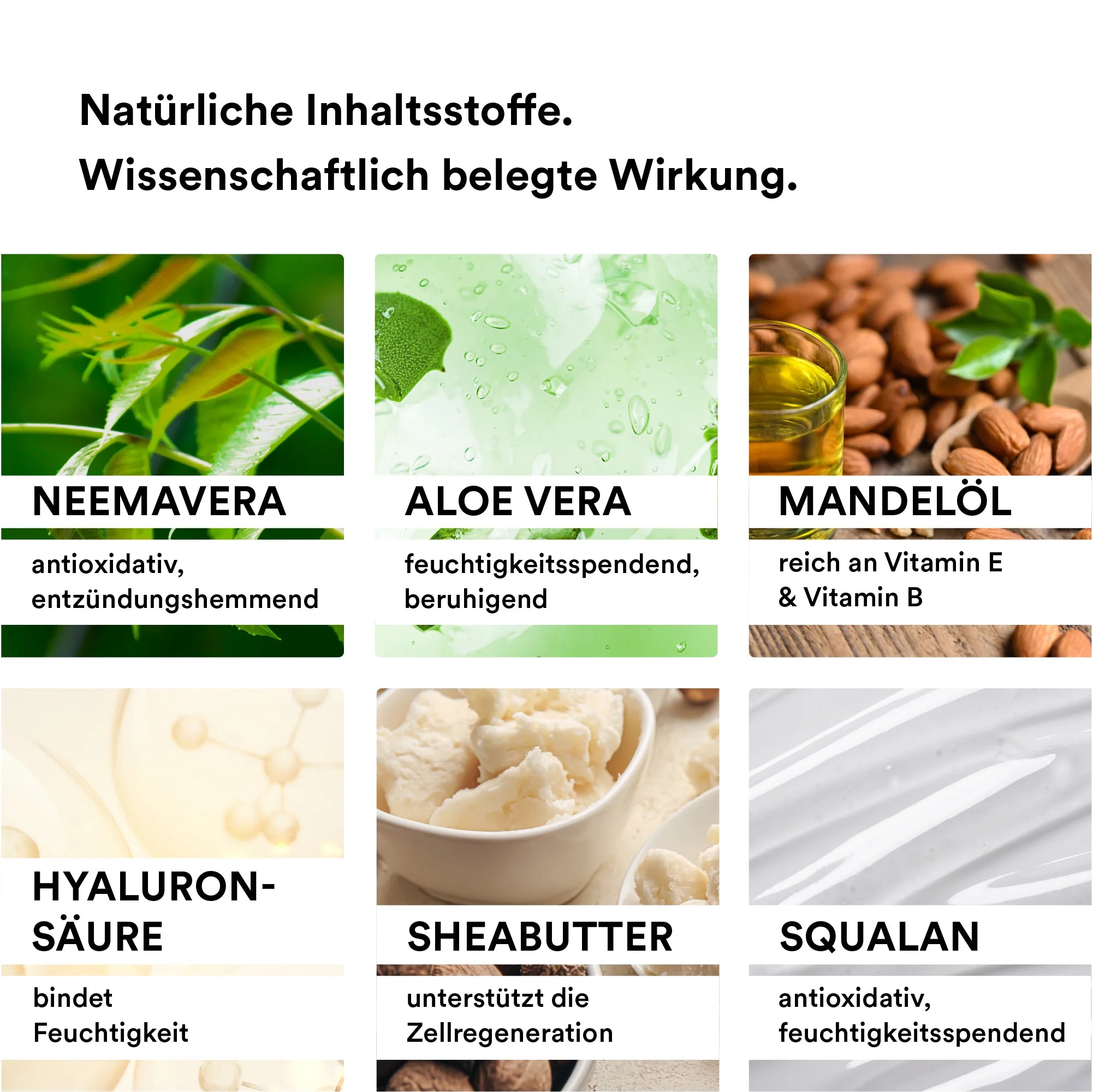 Man sieht verschiedene natürliche Inhaltsstoffe, die in der Body Lotion der Marke natüür enthalten sind. Unter anderem sieht man Hyaluronsäure, Sheabutter, Aloe Vera und NEEMAVERA.