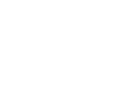 Logo der Marke Natüür. Ein aufrechtes grünes Blatt mit stilisierten weißen Blattadern.