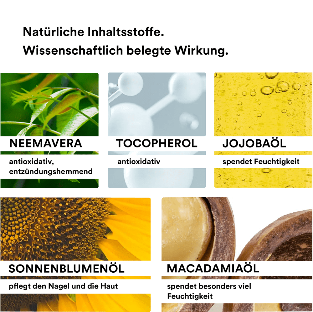 Man sieht verschiedene Inhaltsstoffe die in dem Nail Balm der Marke natüür enthalten sind. Z.B. sieht man NEEMAVERA mit grünen Blättern, Jojobaöl und Macadamia.