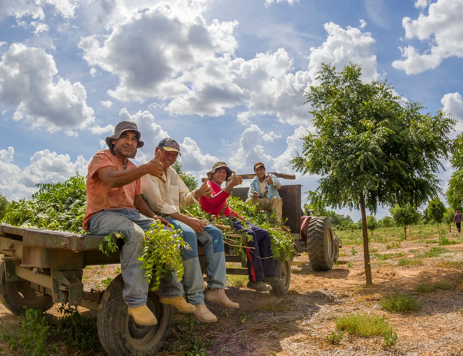Landarbeiter in Paraguay 