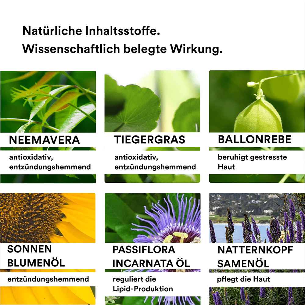 Man sieht verschiedene Inhaltsstoffe die in dem Scalp Tonic der Marke natüür enthalten sind. Z.B. sieht man NEEMAVERA mit grünen Blättern, Tiegergras und Sonnenblumen.