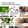 Man sieht verschiedene Inhaltsstoffe die in dem Skin Balm der Marke natüür enthalten sind. Z.B. sieht man NEEMAVERA mit grünen Blättern, eine Kokosnuss und Oliven.