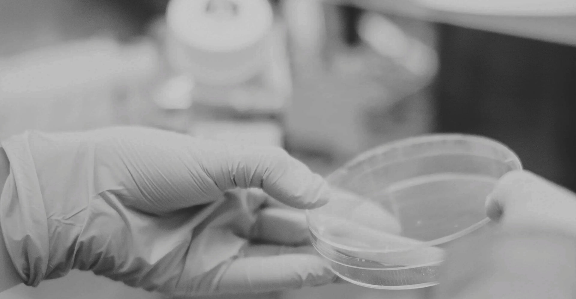 Man sieht eine Hand mit  Latexhandschuh, die eine Petrischale aus Glas hält. Das Bild ist in schwarz-weiß.